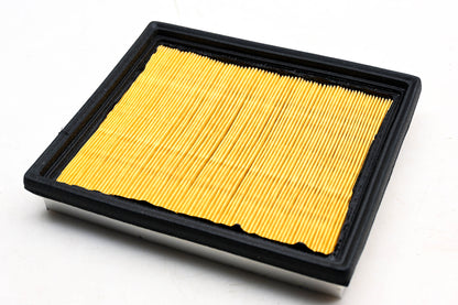 Hastings AF962 Air Filter NOS