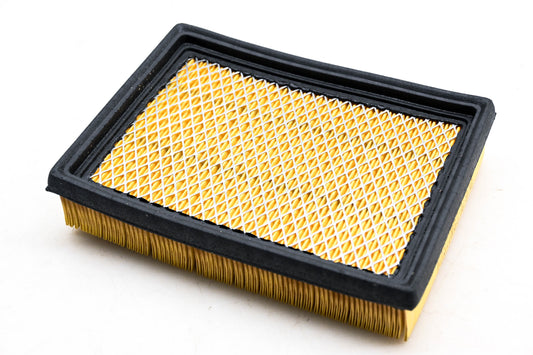 Hastings AF970 Air Filter NOS
