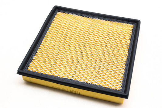 Hastings AF951 Air Filter NOS