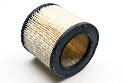 Hastings AF905 Air Filter NOS