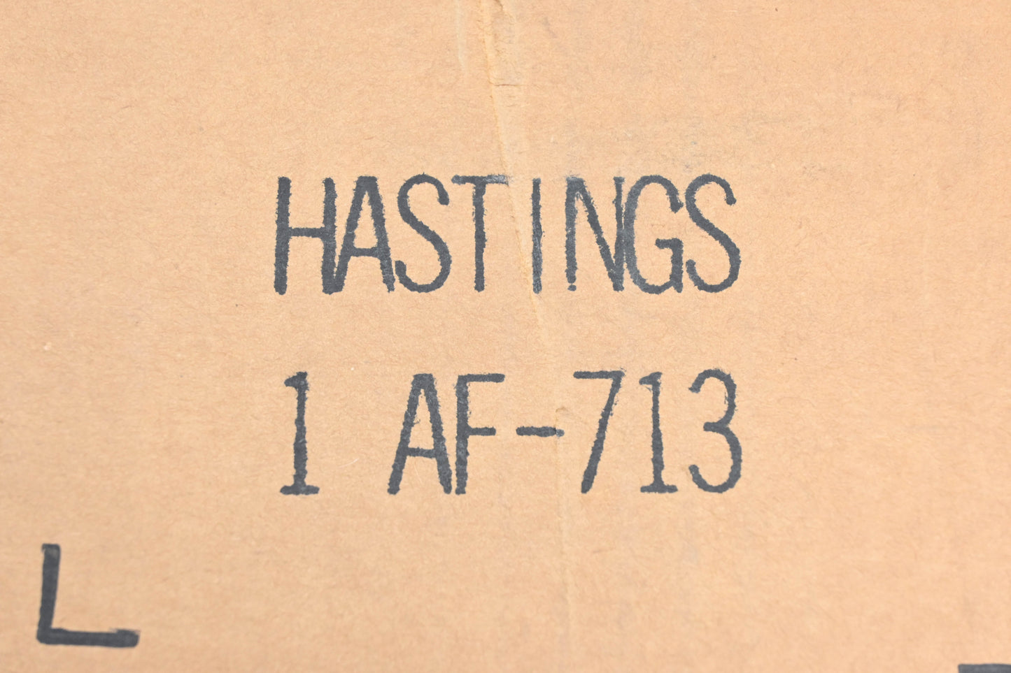 Hastings AF713 Air Filter NOS