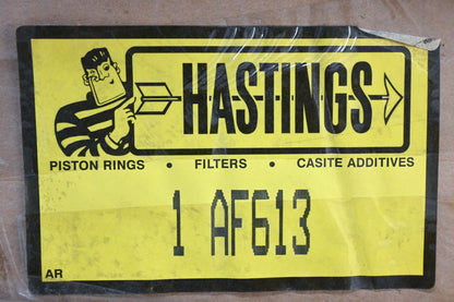 Hastings AF613, PA2667 Air Filter NOS