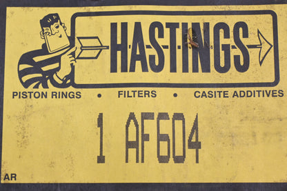 Hastings AF604, PA2547 Air Filter NOS