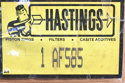 Hastings AF585, PA2513 Air Filter NOS