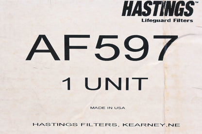 Hastings AF597, PA2588 Air Filter NOS