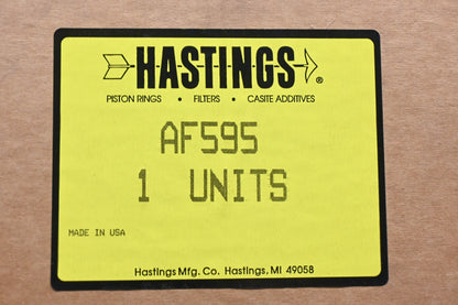 Hastings AF595, PA2520 Air Filter NOS