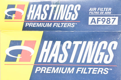 Hastings AF987 Air Filter NOS