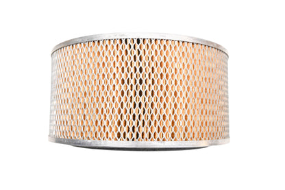 Hastings AF525, PA1619 Air Filter NOS