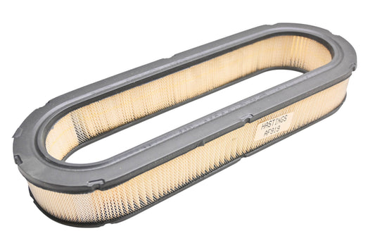 Hastings AF919 Air Filter NOS