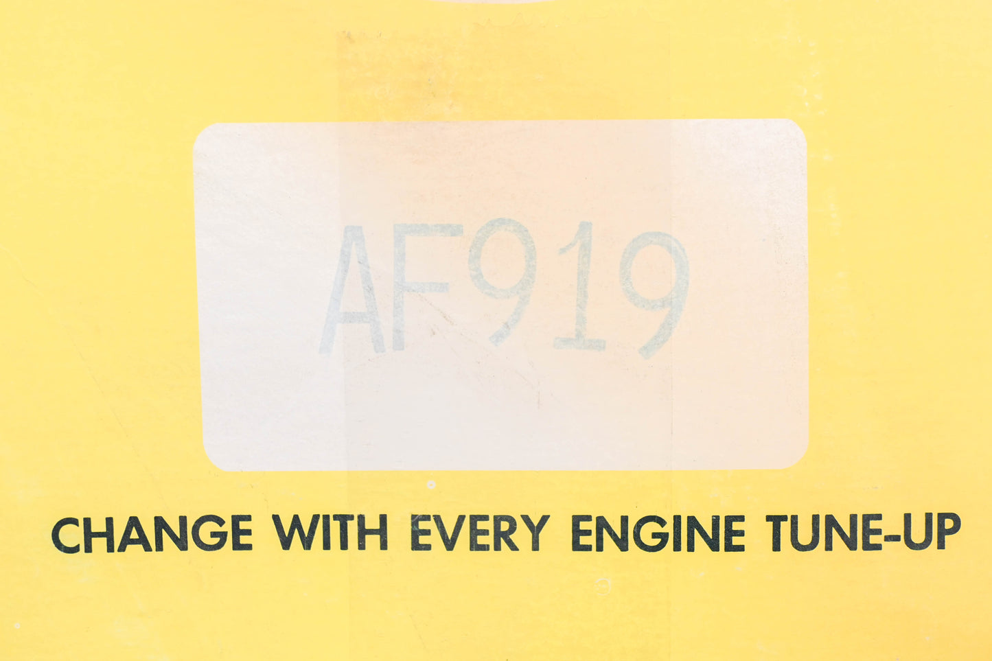 Hastings AF919 Air Filter NOS