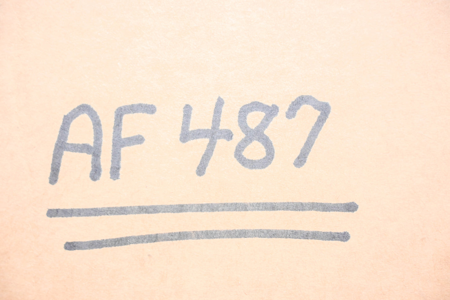 Hastings AF487 Air Filter NOS