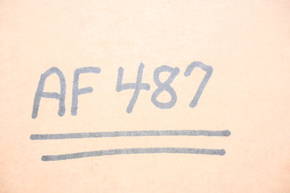 Hastings AF487 Air Filter NOS