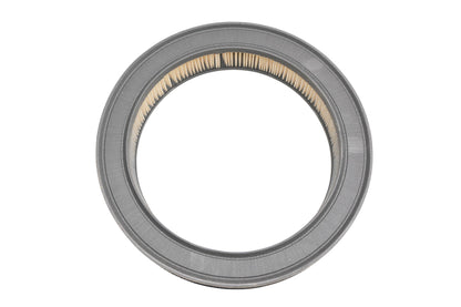 Hastings AF817, AF-817 Air Filter NOS