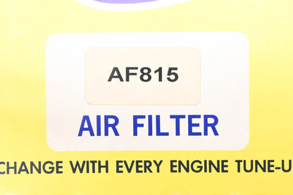 Hastings AF815, AF-815 Air Filter NOS