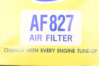 Hastings AF827, AF-827 Air Filter NOS