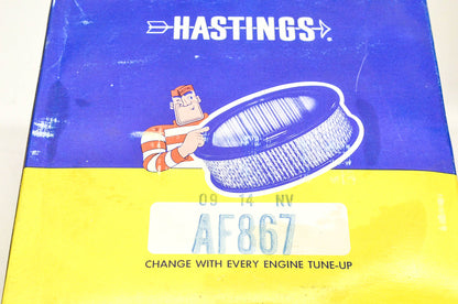 Hastings AF867 Air Filter NOS
