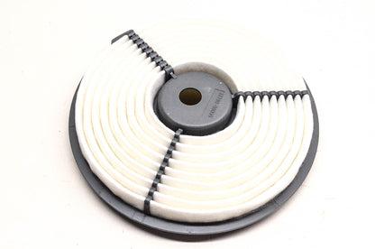 Hastings AF939 Air Filter NOS