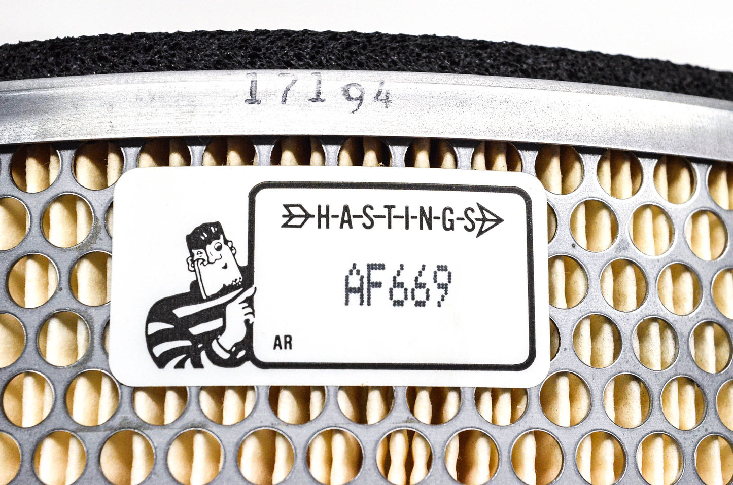 Hastings AF669 Air Filter NOS