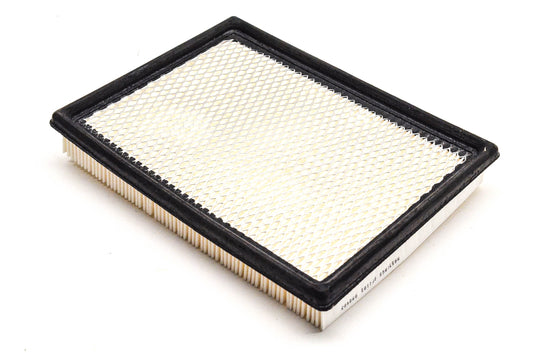 Hastings AF1101 Air Filter NOS