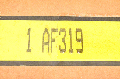 Hastings AF319 Air Filter NOS