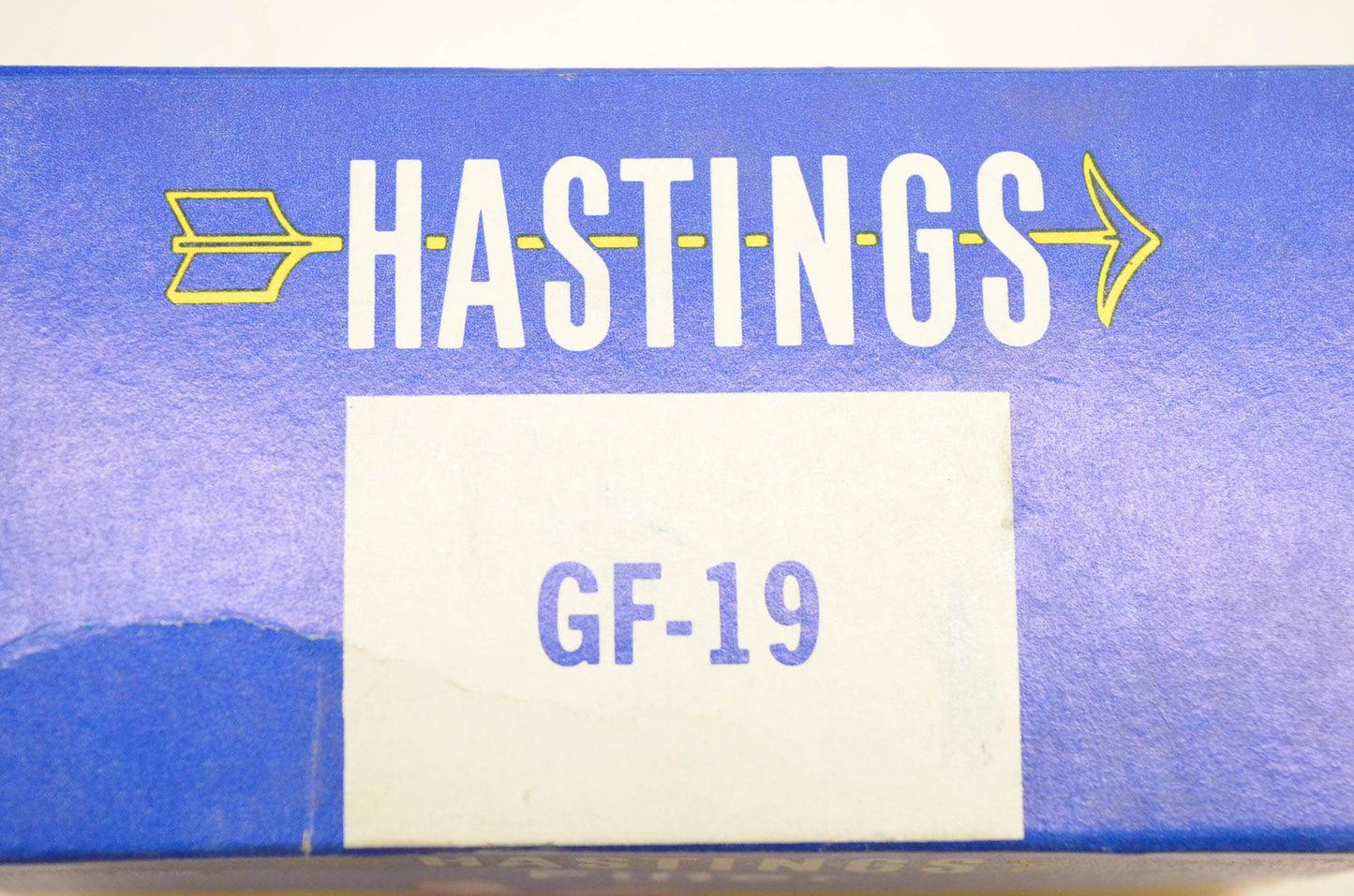Hasting GF19, GF-19 Fuel Filter NOS