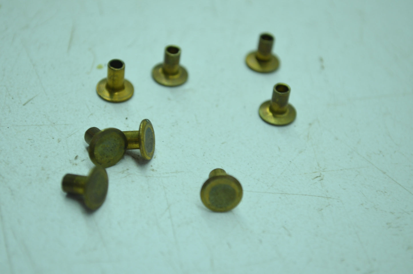 OEM Harley-Davidson 8475 Rivet Qty 8 NOS