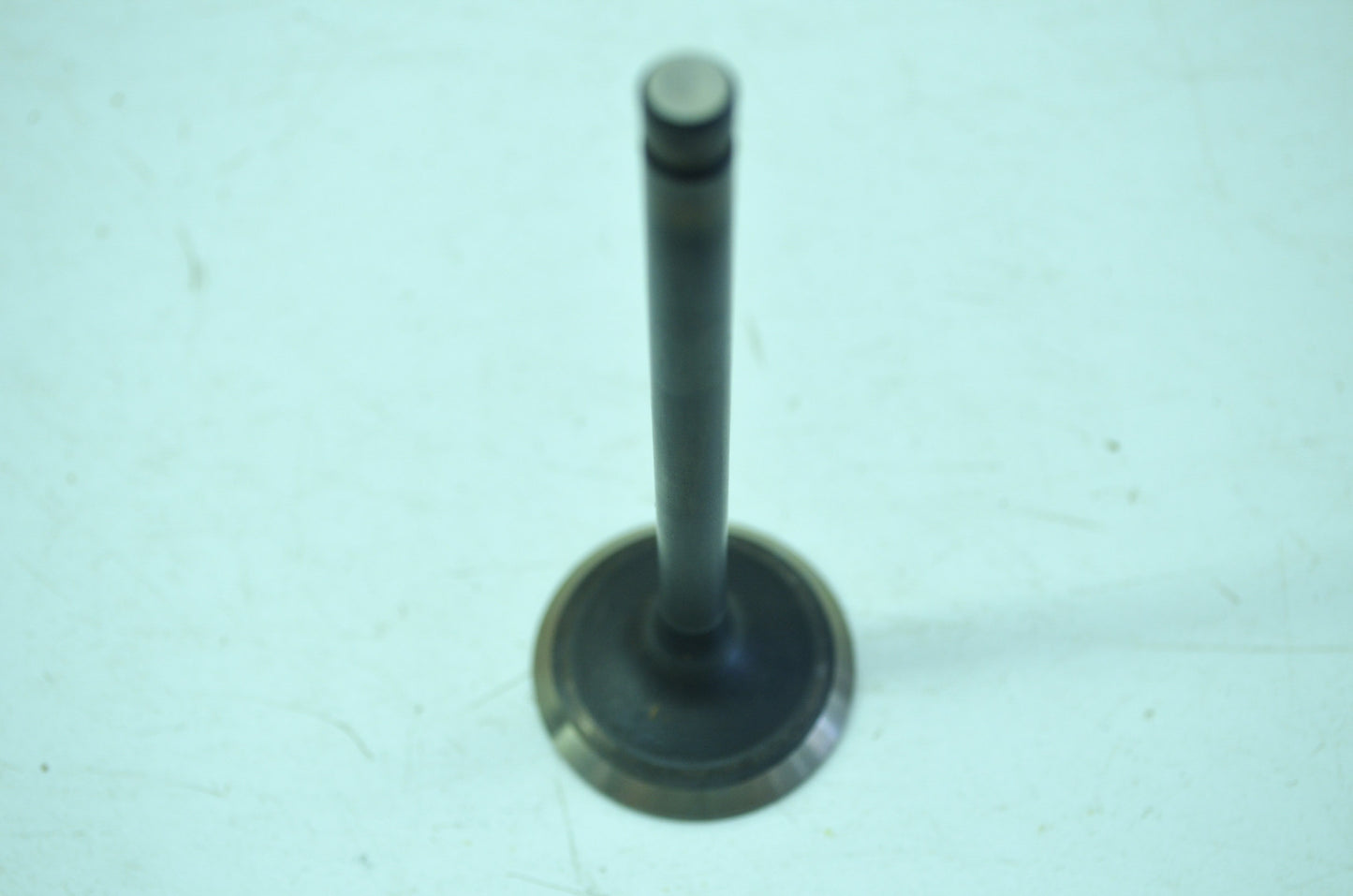 OEM Harley-Davidson 18024-86 Exhaust Valve NOS
