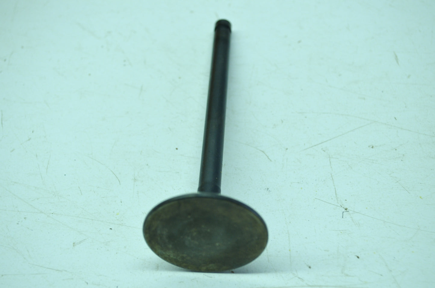 OEM Harley-Davidson 18024-86 Exhaust Valve NOS