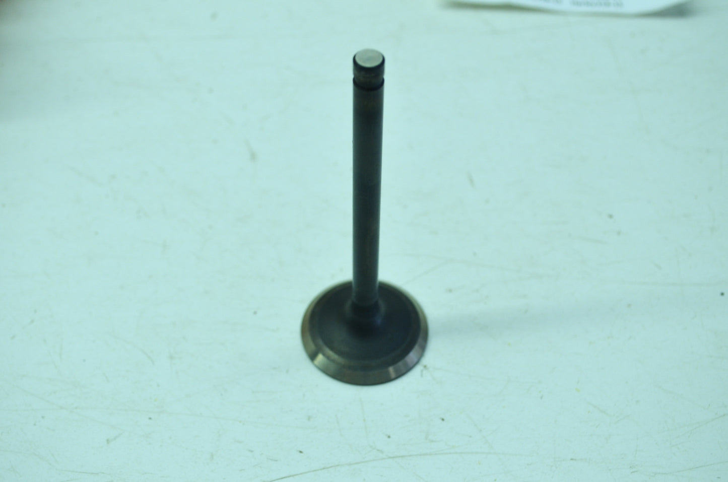 OEM Harley-Davidson 18024-86 Exhaust Valve NOS