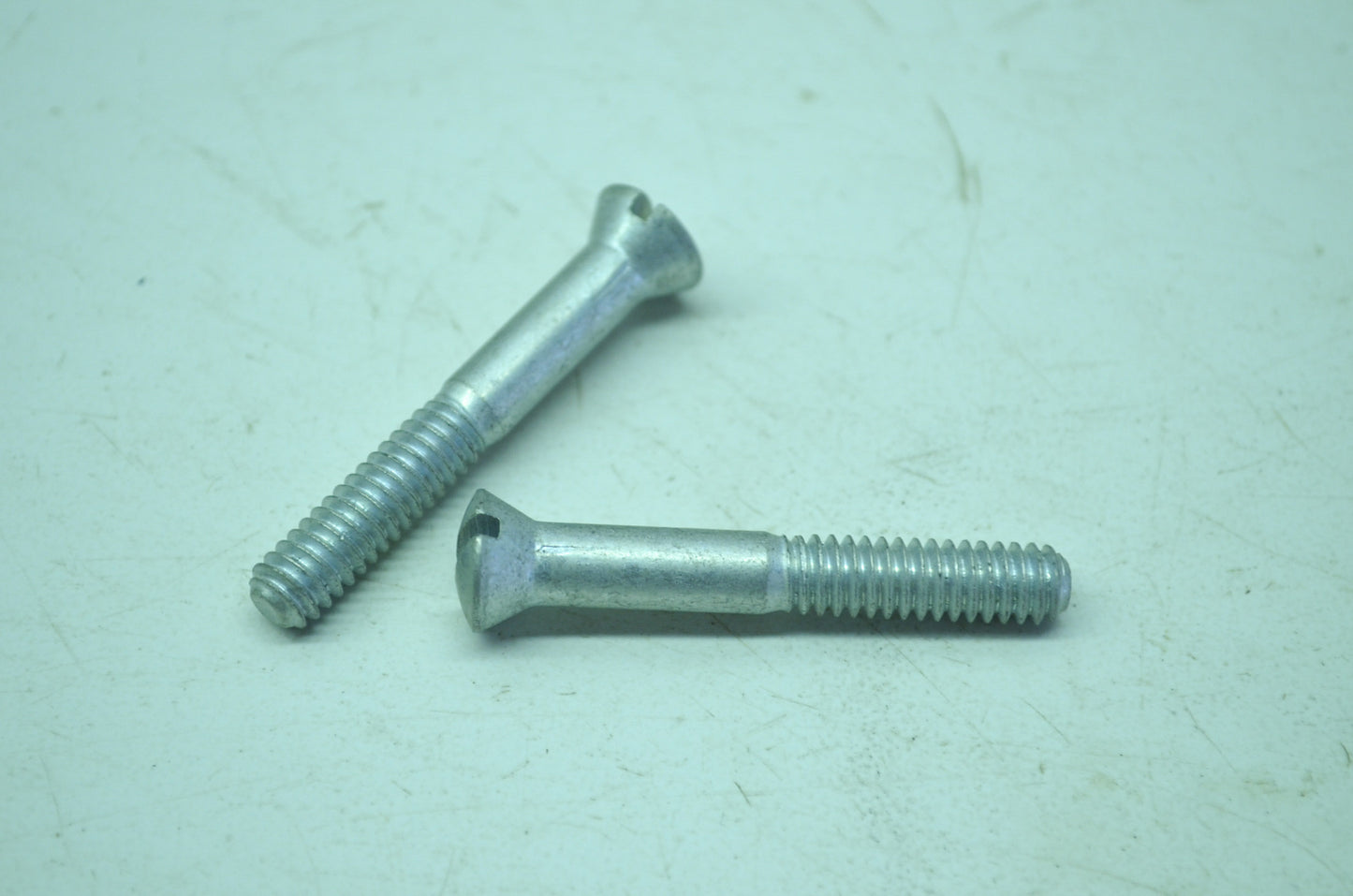 Harley-Davidson Chain Case Screw Qty 2 NOS