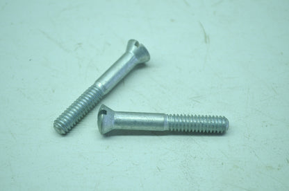 Harley-Davidson Chain Case Screw Qty 2 NOS