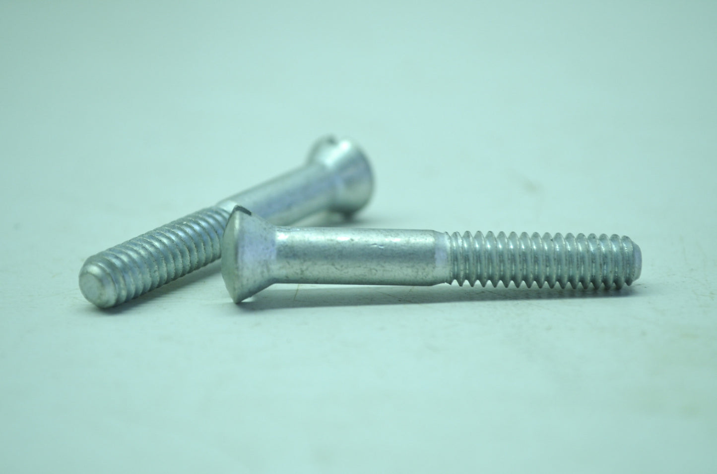 Harley-Davidson Chain Case Screw Qty 2 NOS