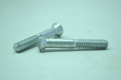 Harley-Davidson Chain Case Screw Qty 2 NOS