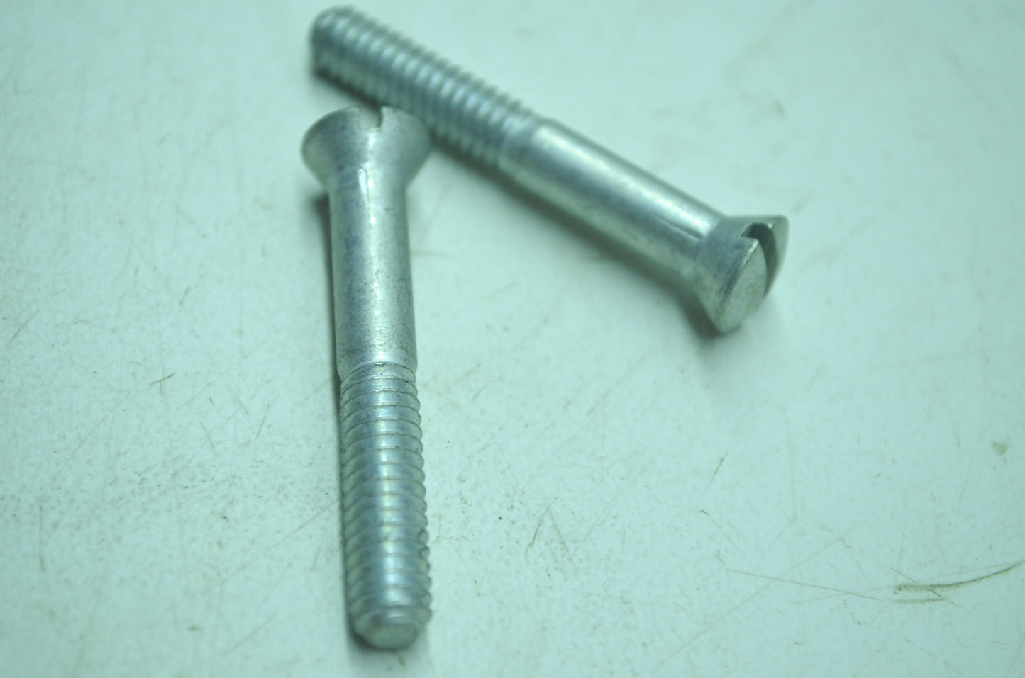 Harley-Davidson Chain Case Screw Qty 2 NOS