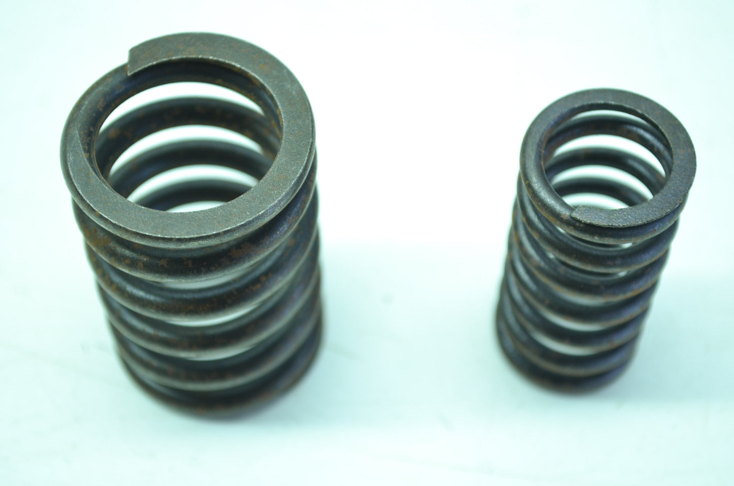 Pair Valve Spring NOS