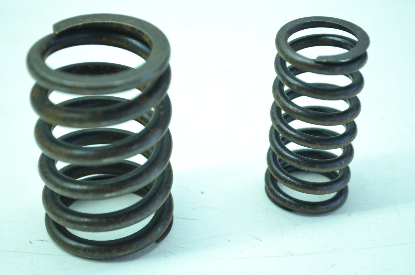 Pair Valve Spring NOS