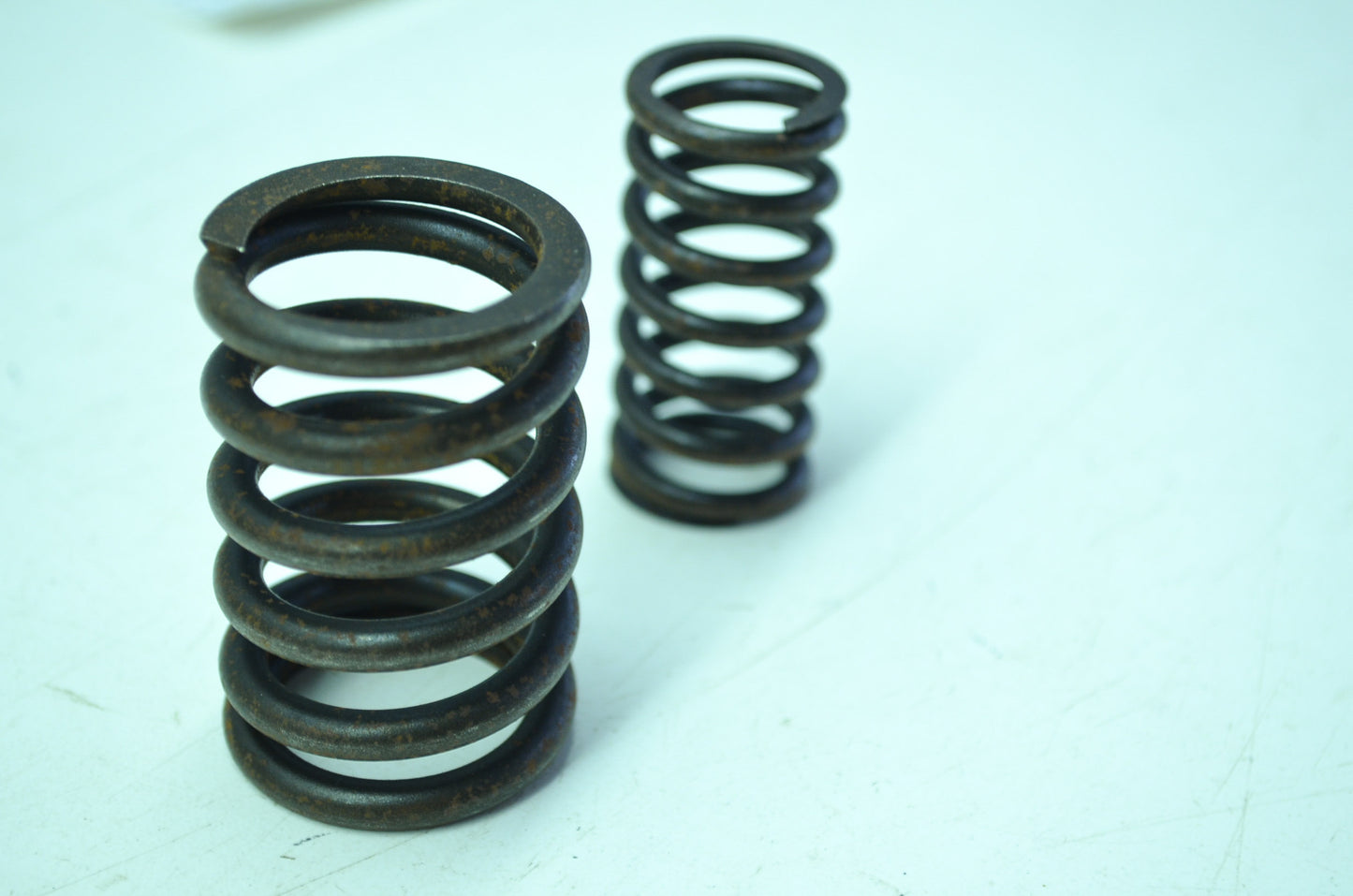 Pair Valve Spring NOS