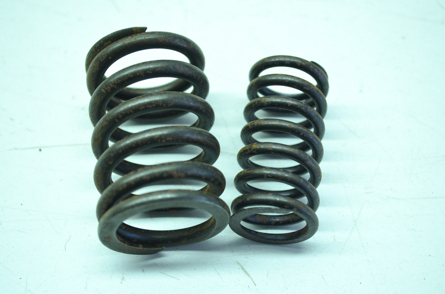Pair Valve Spring NOS
