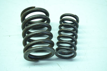 Pair Valve Spring NOS