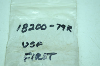 Pair Valve Spring NOS
