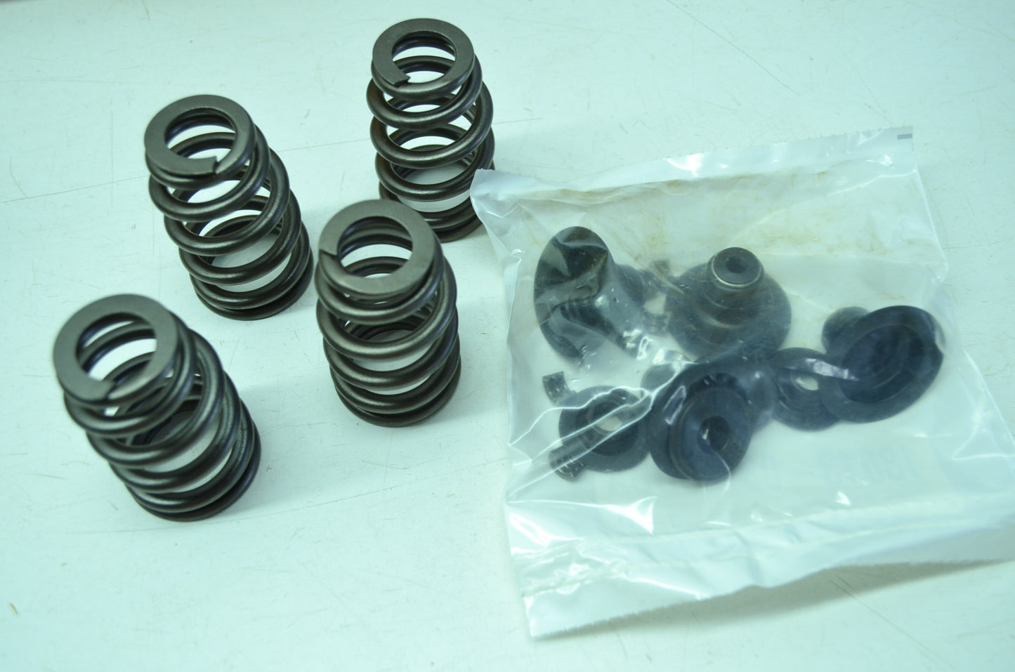 OEM Harley-Davidson 18013-03 Valve Springs Kit NOS