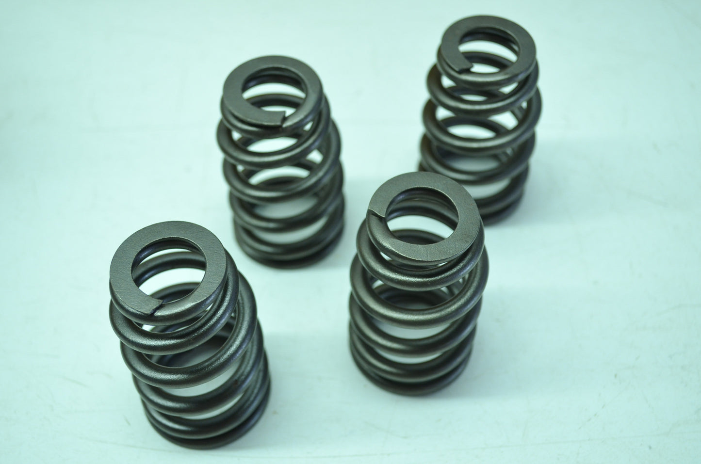 OEM Harley-Davidson 18013-03 Valve Springs Kit NOS