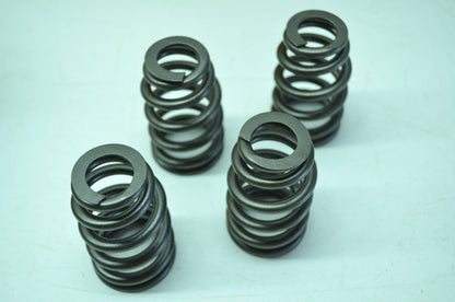 OEM Harley-Davidson 18013-03 Valve Springs Kit NOS