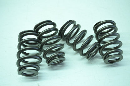 OEM Harley-Davidson 18013-03 Valve Springs Kit NOS