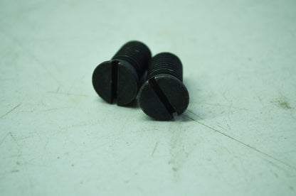 Pole Shoe Screws Qty 2 NOS