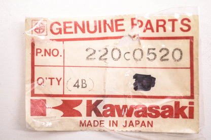 New OEM Kawasaki 220C0520 Screw Panhead NOS