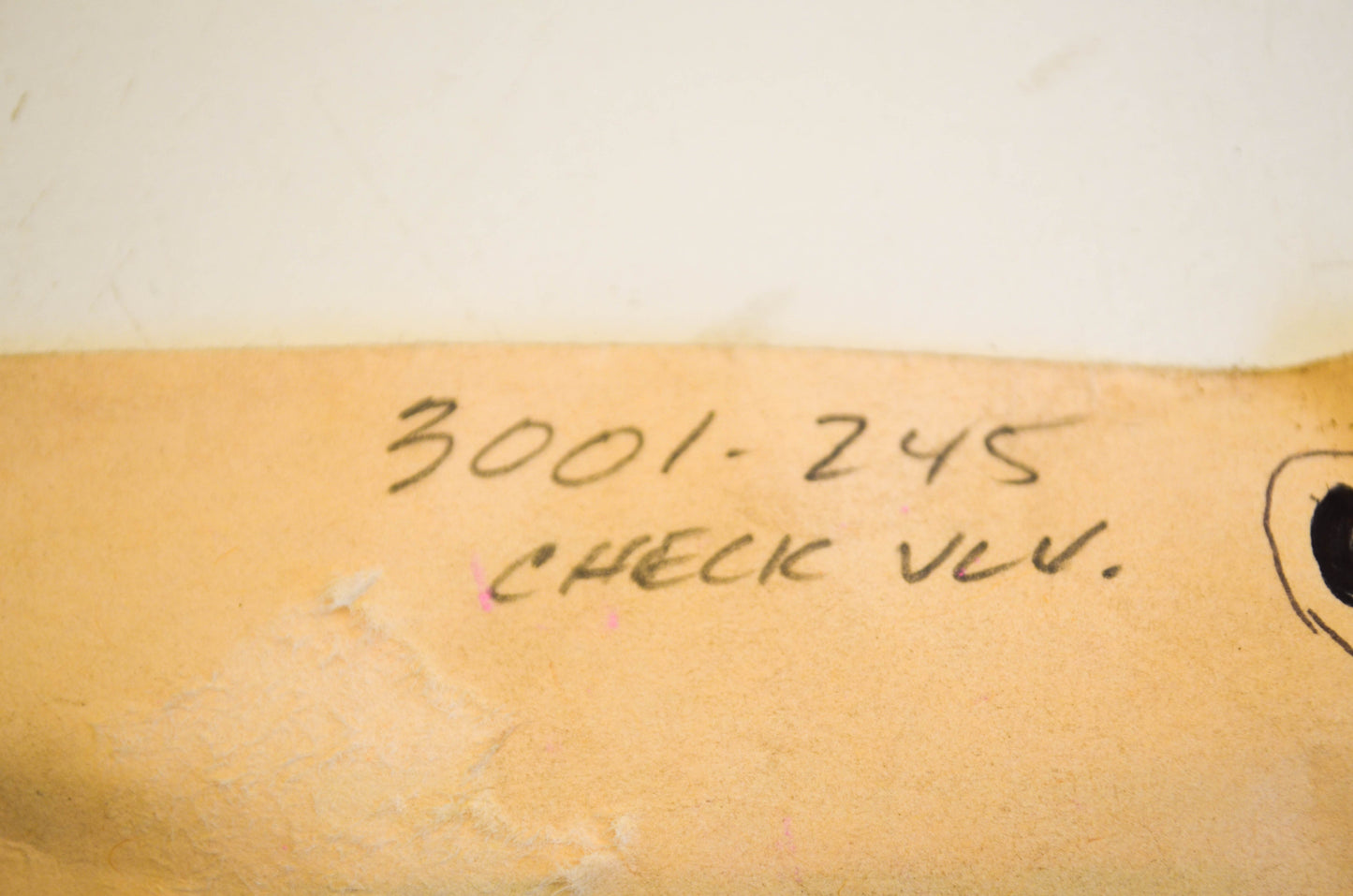 New OEM Arctic Cat 3001-245 Valve NOS