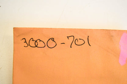 New OEM Arctic Cat 3000-701 Piston Ring Kit NOS