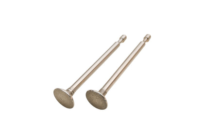 Stens 505-123 Exhaust Valves Qty 2 NOS