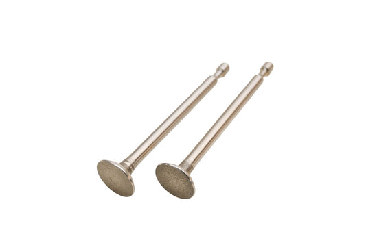 Stens 505-123 Exhaust Valves Qty 2 NOS
